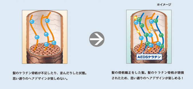 トイトイトーイ | 株式会社リトル・サイエンティスト