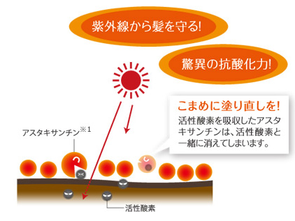 アジアンムーン | 株式会社リトル・サイエンティスト